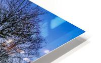 SHINNING THROUGH HD Metal print
