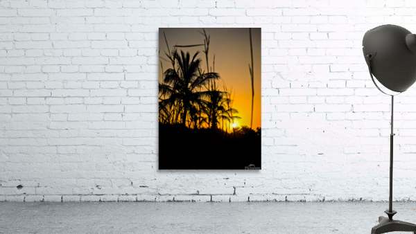 SUMMER DAZE Wall Preview