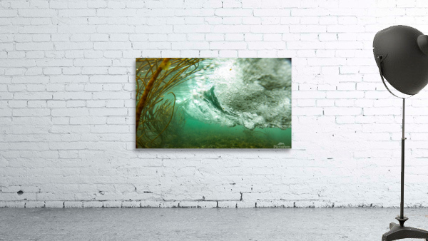 SWIRL Wall Preview