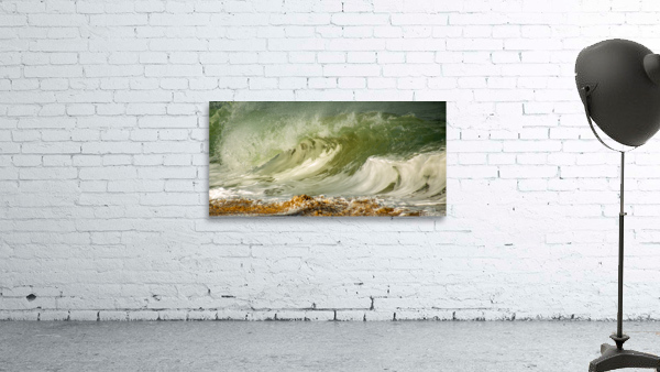 SAND & SURF Wall Preview