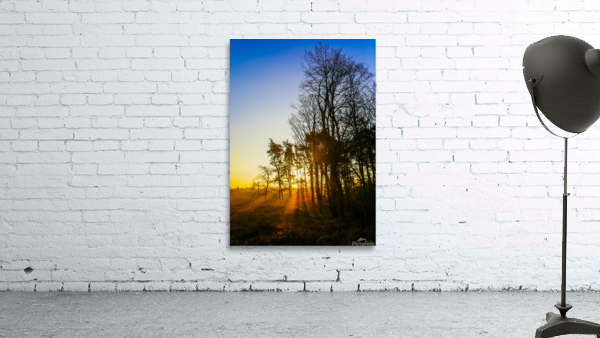 SHINNING THROUGH Wall Preview