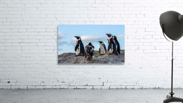 HAPPY FEET Wall Preview