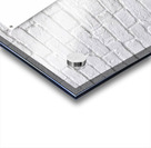 Hamsa Micro-Blessing Acrylic print