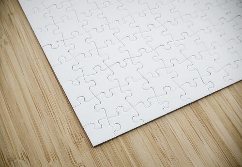 Hamsa Micro-Blessing Aaron Poris puzzle