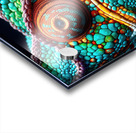 wild chameleon 15 Acrylic print