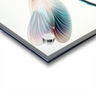 Dragonfly isolated on white 8 Acrylic print