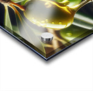 Olive oil on branch food 3 Acrylic print