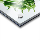 Red green yellow peppers food 14 Acrylic print