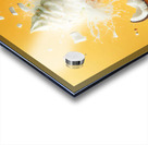 Strawberry ice cream chocolate vanilla various ic 1717277125.0548 Acrylic print