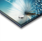 120 Water drops rain dew close up macro to seed d Acrylic print