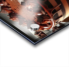 233 Chocolate cake with red berries and fruitscho Acrylic print