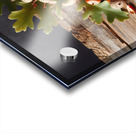 301 acorns and leaves on wooden table with copy s Acrylic print