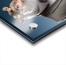 hippopotamus in suit Acrylic print