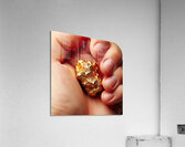 One Troy Ounce California Gold Nugget Acrylic Print