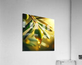 Olive oil on branch food 21 Acrylic Print