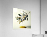 Olive oil on branch food 7 Acrylic Print