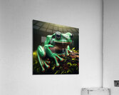 122 Green frog photography Acrylic Print
