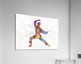 muay thai-karate-boxing Acrylic Print