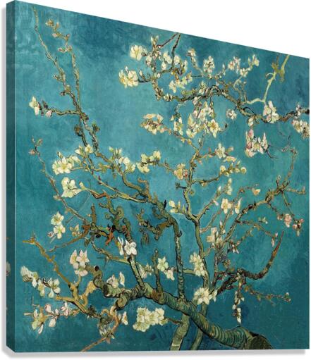  Blossoming Almond Tree by Vincent van Gogh Canvas Print