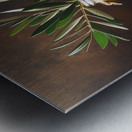 olive oil olives still life 10 Metal print