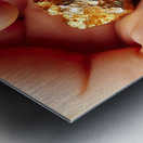 One Troy Ounce California Gold Nugget Metal print