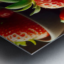 Strawberries studio lighting 9 Metal print