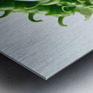 Red green yellow peppers food 14 Metal print