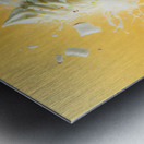 Strawberry ice cream chocolate vanilla various ic 1717277125.0548 Metal print