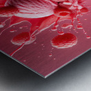 Strawberry ice cream chocolate vanilla various ic 1717277196.3454 Metal print