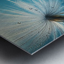 120 Water drops rain dew close up macro to seed d Metal print