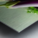 266 Two fresh eggplants on a white table and gree Metal print