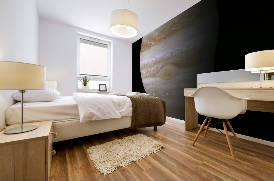 Jupiter-Nasa poster Mural print