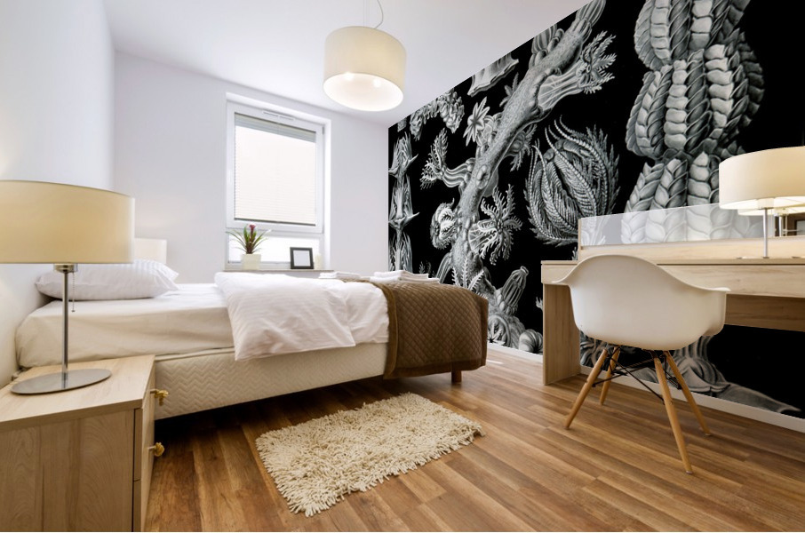 ernst haeckel Mural print