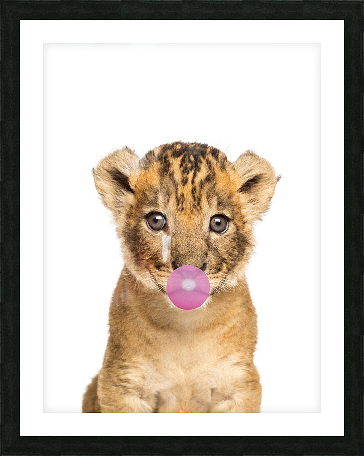 lion gum Picture Frame print