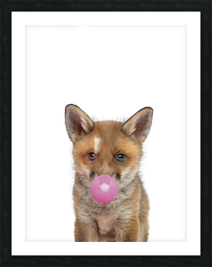 fox gum Picture Frame print