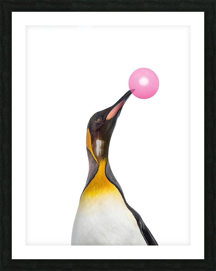 penguin gum Picture Frame print