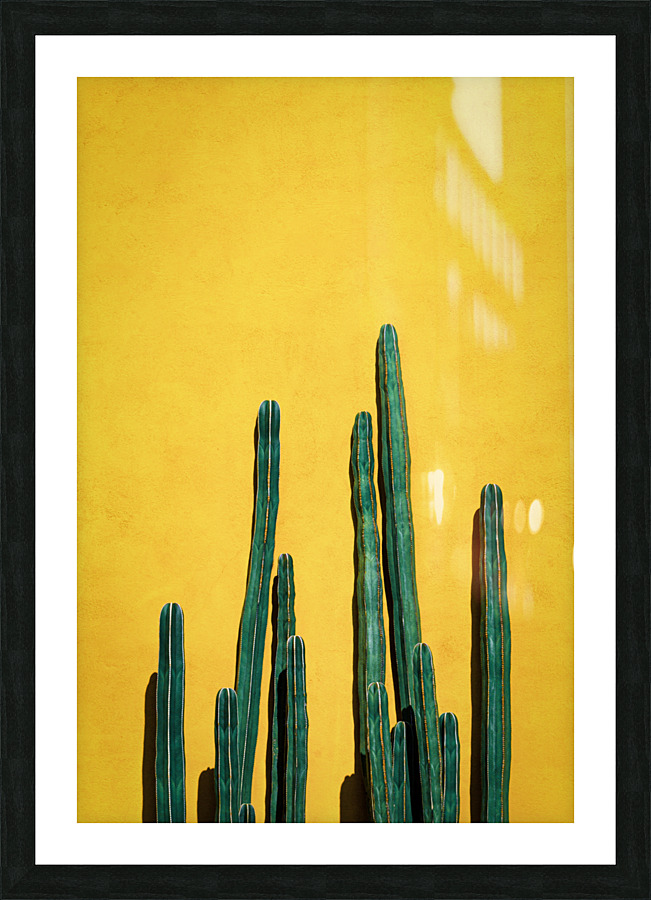 cactus II Picture Frame print