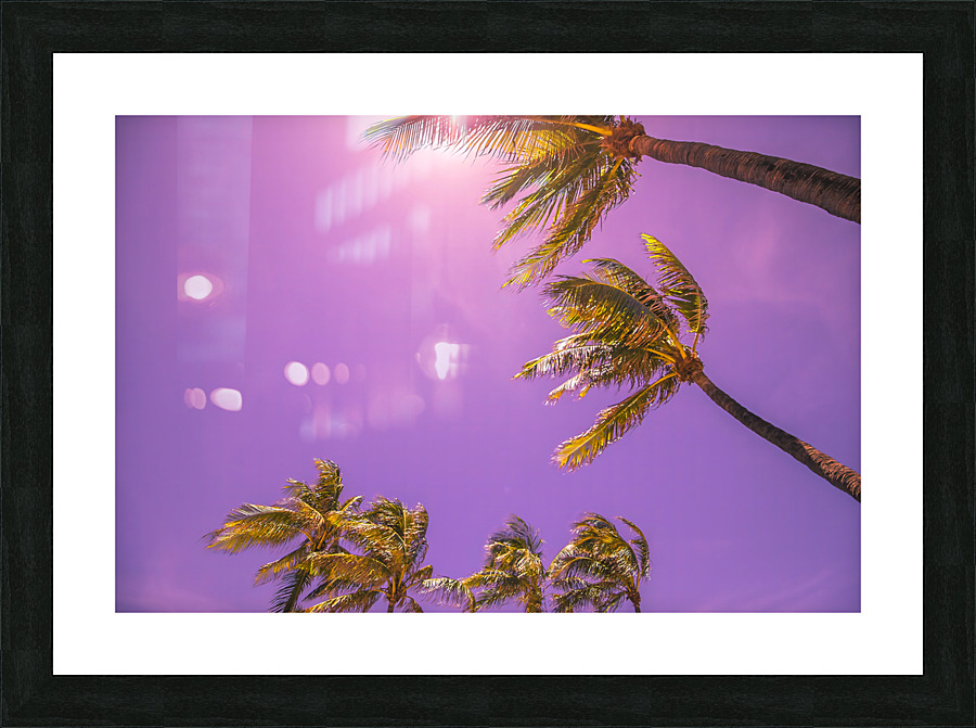 miami Picture Frame print