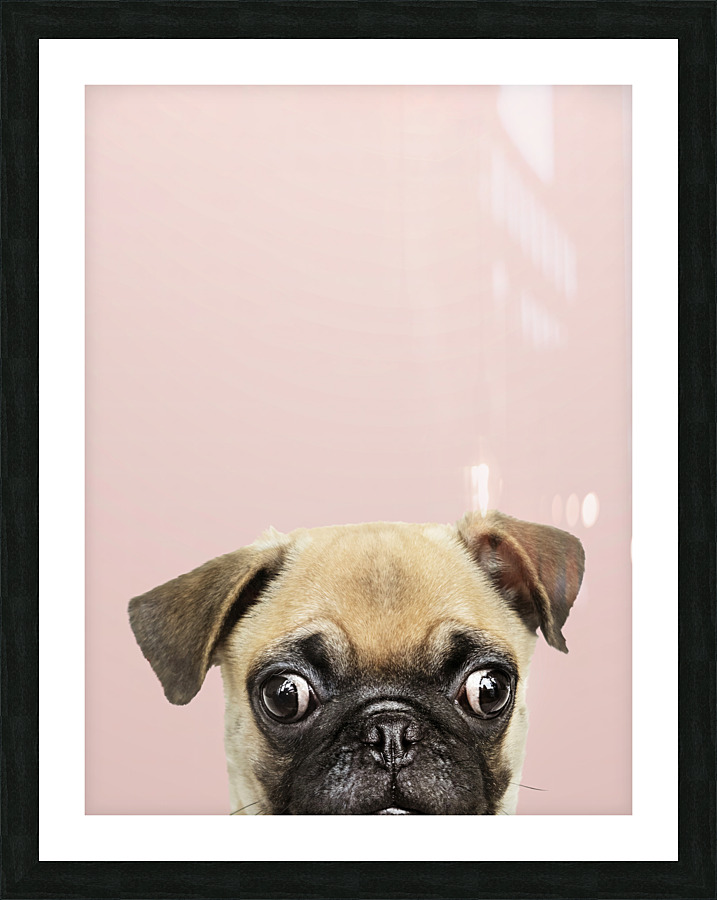 halftone dog Picture Frame print
