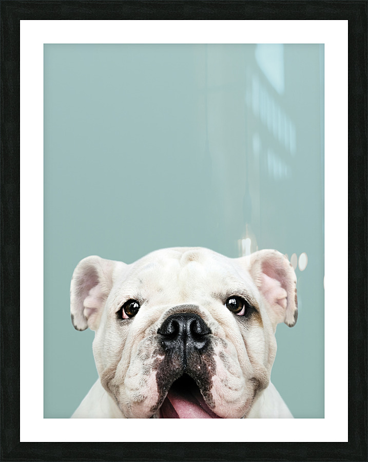 halftone dog Picture Frame print