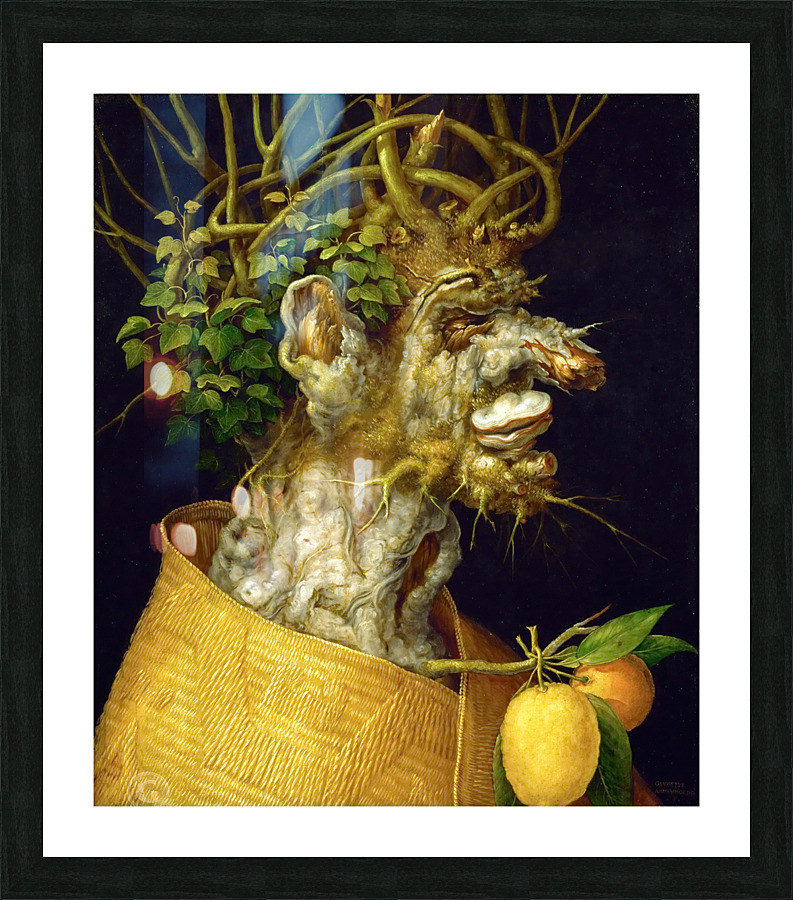  Giuseppe Arcimboldo Picture Frame print