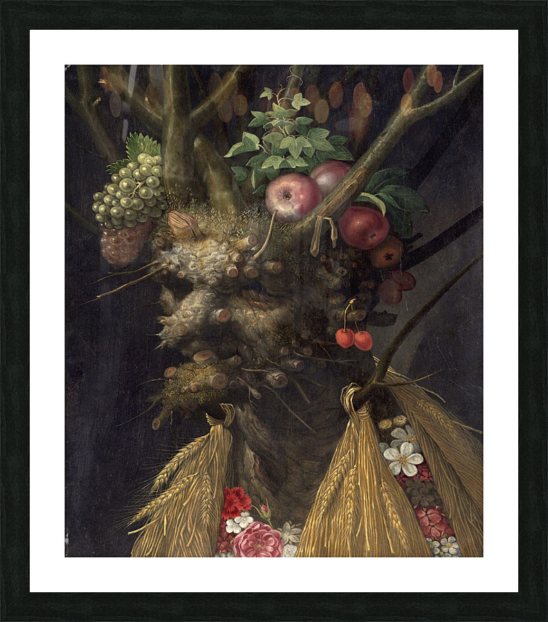  Giuseppe Arcimboldo Picture Frame print