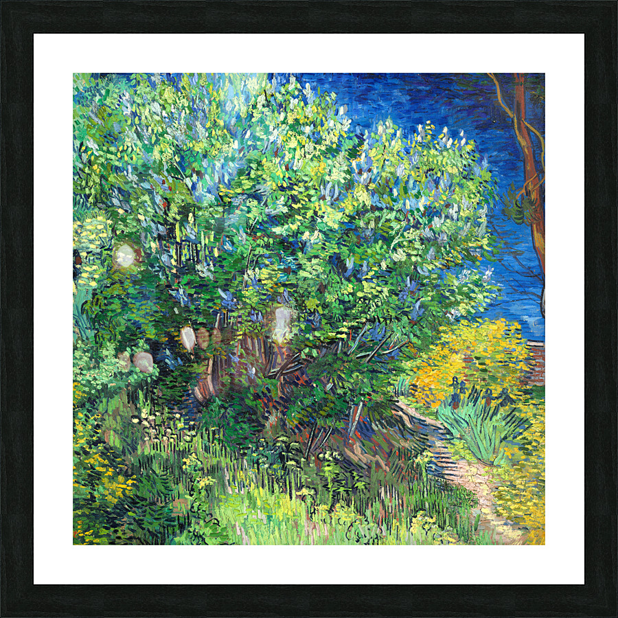 Vincent van Gogh Picture Frame print