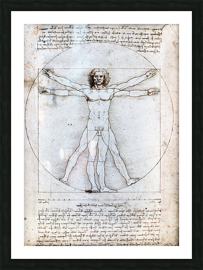leonardo da vinci Picture Frame print