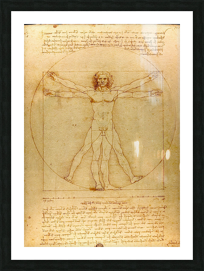 leonardo da vinci Picture Frame print