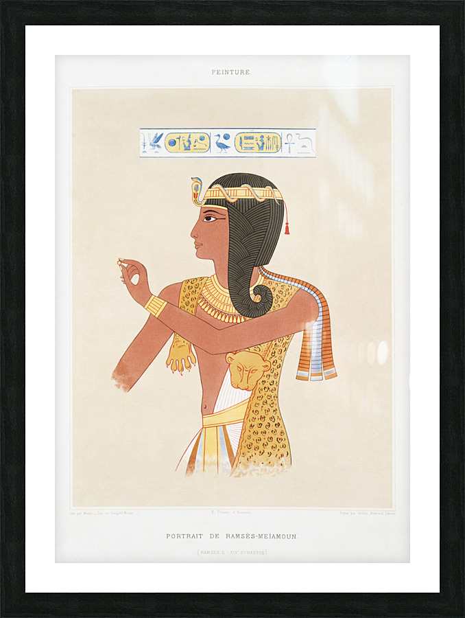 ancient egypt illustrations Picture Frame print