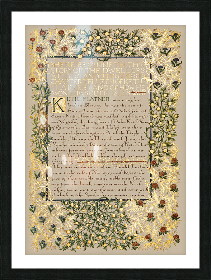 2507 william morris Picture Frame print