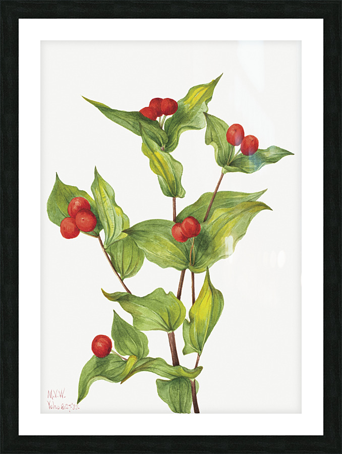 2521 william morris Picture Frame print