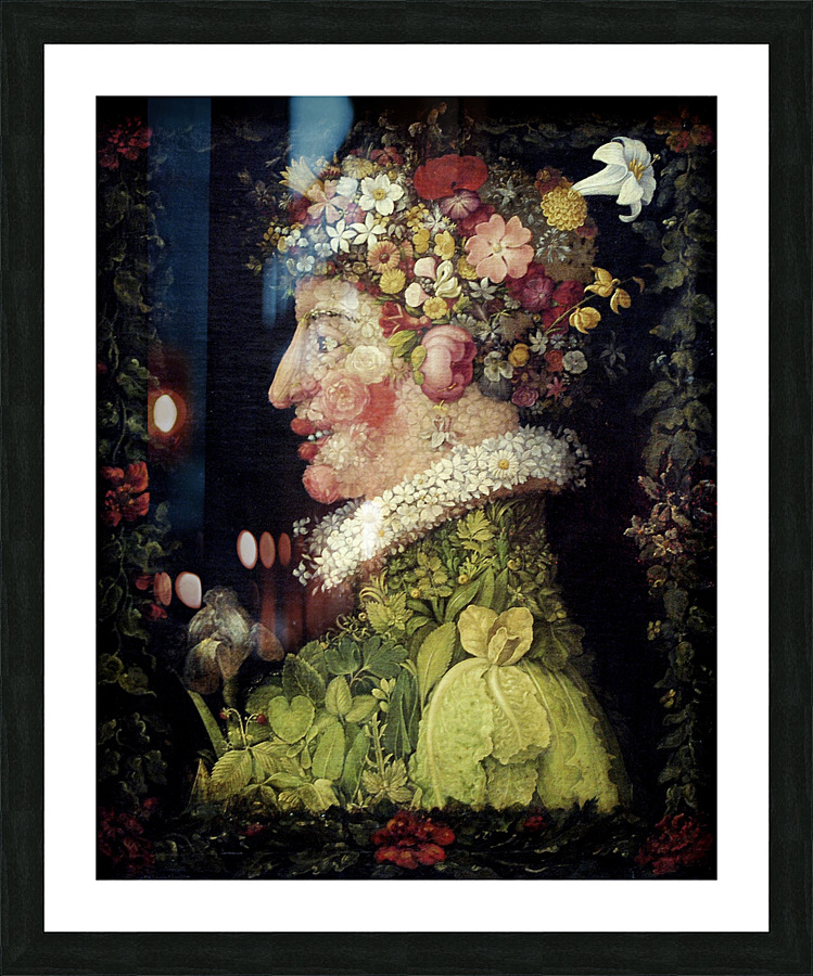 2572 arcimboldo Picture Frame print