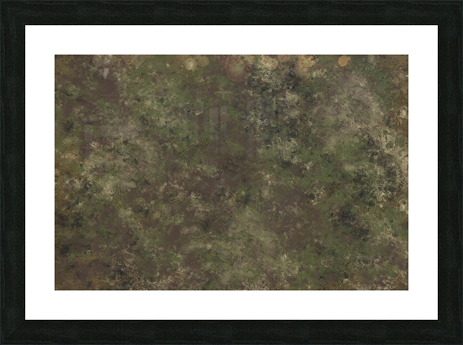 5198 camouflage Picture Frame print